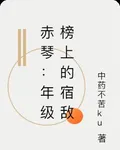 赤琴：年級榜上的宿敵 封面
