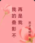 我的疊影不再是我 封面