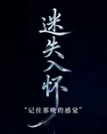 迷失入懷 封面