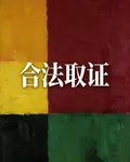 合法取證 封面