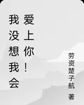 我沒想我會愛上你！ 封面