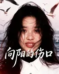 向陽的傷口 封面