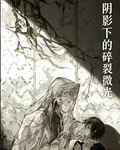陰影下的破裂微光 封面