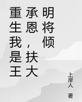 重生我是王承恩，扶大明將傾 封面
