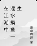 在江湖中，混水摸魚一生 封面