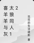 喜羊羊與灰太狼同人12 封面
