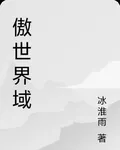 傲世界域 封面