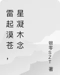 雷起漠蒼，星凝木念 封面