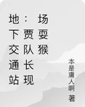 地下交通站：賈隊長現場耍猴 封面