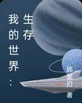 我的世界：生存 封面