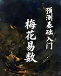 梅花易數預測基礎入門 封面