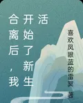 合離後，我開始了新生活 封面
