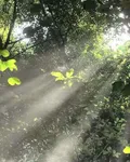 貴族學院小透明怎麼被F1盯上了 封面