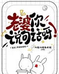 老婆，你說句話呀！ 封面
