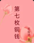 第七枚銅錢 封面