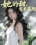 她的甜，有半衰期 封面
