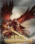 雙魂天使：光暗隕後我爲唯一序列 封面