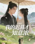 我的遲暮才知意濃 封面