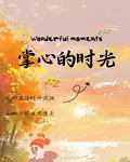 掌心的時光 封面