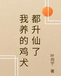 我養的雞犬都昇仙了 封面
