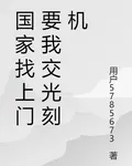 國家找上門要我交光刻機 封面