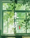 未寄的夏信 封面