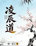 凌辰道 封面