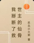 我掰斷了救世主的仙骨 封面