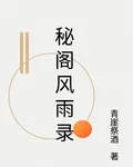 祕閣風雨錄 封面