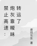 禁止高速：炮灰靠曖昧轉運了 封面