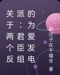 關於兩個反派：君臣組的爲愛發電 封面