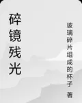 碎鏡殘光 封面