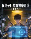 在電子廠覺醒神豪系統 封面