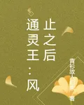 通靈王：風止之後 封面
