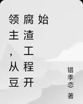 領主，從豆腐渣工程開始 封面