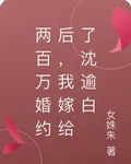 兩百萬婚約後，我嫁給了沈逾白 封面
