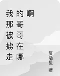 我那被擄走的哥哥在哪啊 封面