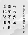 遊戲降臨：野狗不配擁有故鄉麼 封面
