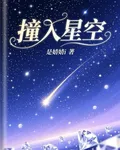 撞入星空 封面