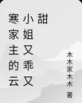 寒家主的雲小姐又壞又甜 封面