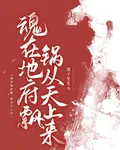 魂在地府飄，鍋從天上來 封面