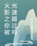 火影之你被光速踢過嗎 封面