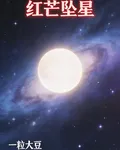 紅芒墜星2 封面