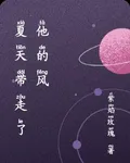 夏天帶走了他的風 封面