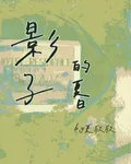 影子的夏日 封面
