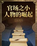 官場之小人物的崛起 封面