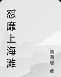 懟靡上海灘 封面