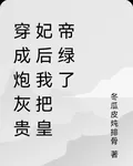 穿成炮灰貴妃後我把皇帝綠了 封面