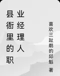 縣衙裏的職業經理人 封面