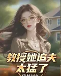 教授她追夫太猛了 封面